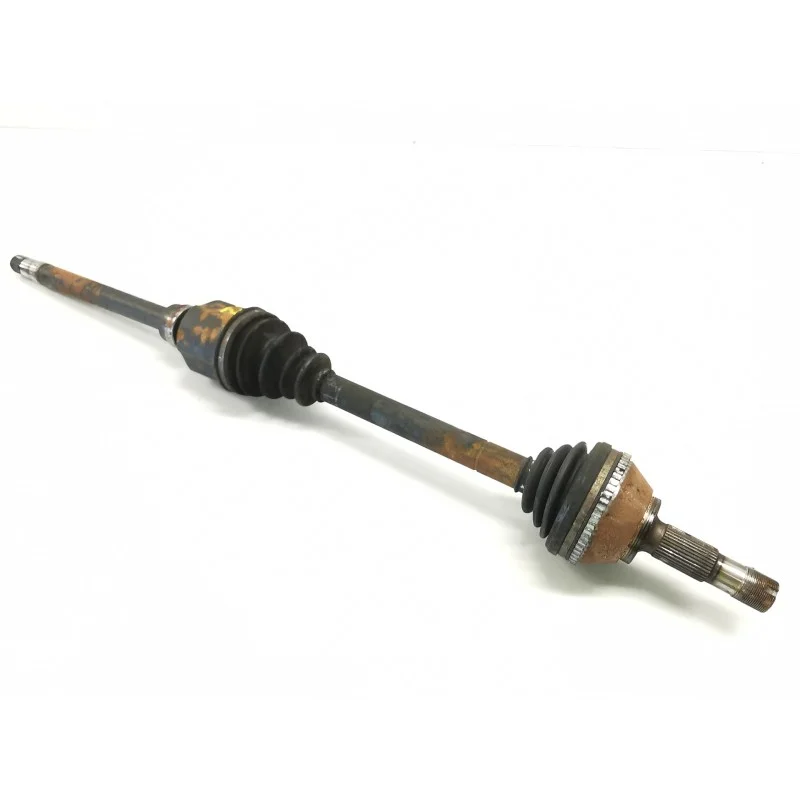 2026_06_04_1647079